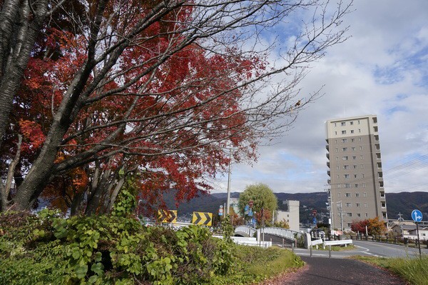 原田泰治美術館にゆく : 三道楽ノート