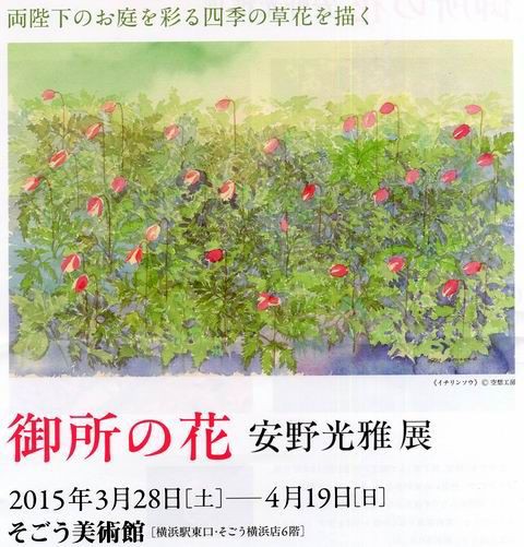 安野光雅 御所の花 展 を見る 三道楽ノート 安野光雅 御所の花 展 を見る 三道楽ノート