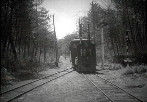 森繁久彌の文芸映画大全 「山鳩」を見る : 三道楽ノート