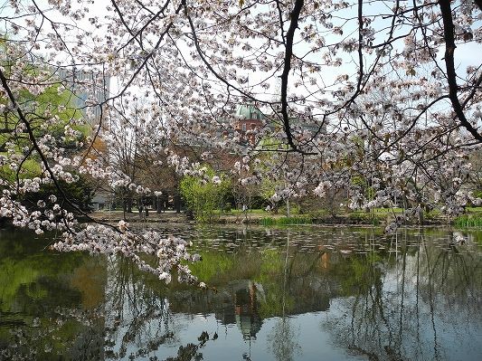 舞台探訪 聖地巡礼 天体のメソッド 札幌編 かぐらかり
