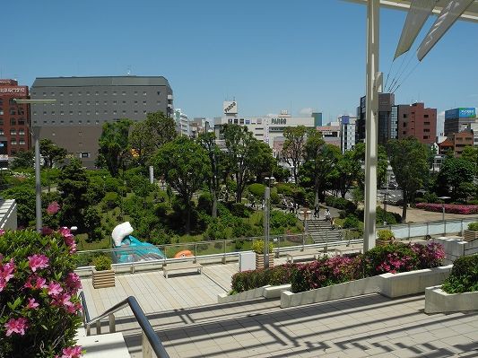 舞台探訪 聖地巡礼 ハロー きんいろモザイク 千葉 津田沼編 かぐらかり 舞台探訪 聖地巡礼 ハロー きんいろモザイク 千葉 津田沼編 かぐらかり