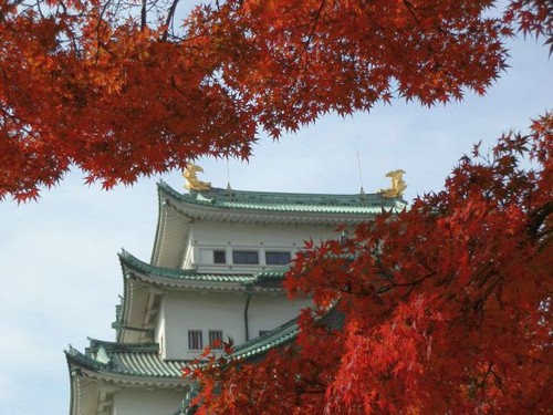 名古屋城の紅葉を楽しむ 愛知県での同窓会 当尾 とうの からの風の便り