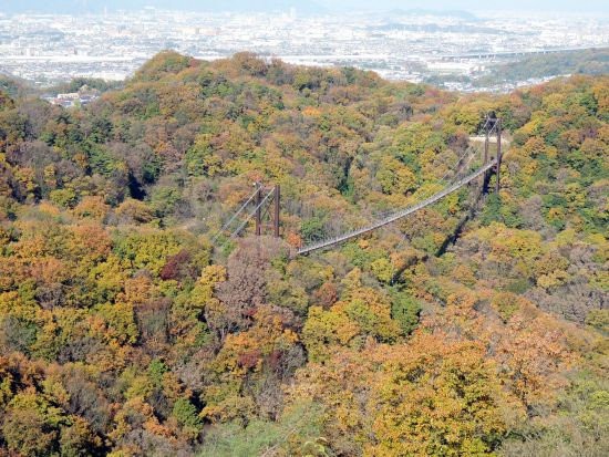 星のブランコ 当尾 とうの からの風の便り