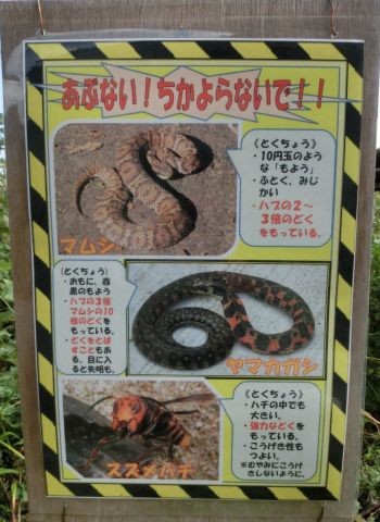 多摩川のヘビ マムシ出没注意の看板と 噛まれたときの対処法 星の見える東京