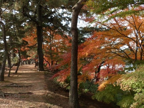 名古屋城の紅葉を楽しむ 愛知県での同窓会 当尾 とうの からの風の便り