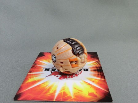 もはや何なんだか」の巻（『爆丸』「エイヴィア＋レイシャー