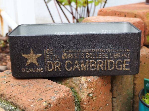 白雪ミセバヤの寄せ植え・・・NEW : ロココのやさしい時間