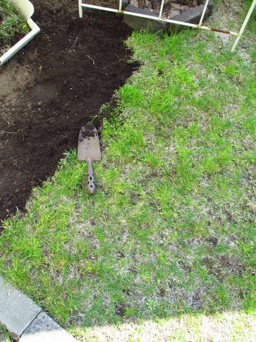 芝の張替え ロココのやさしい時間