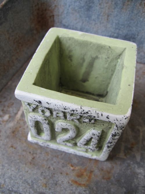 セリアのセメント鉢の寄せ植え めちゃ良いね ロココのやさしい時間