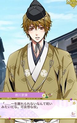 天下統一恋の乱 徳川家康 続編 至幸エンド 感想 ハルのなんでもノート