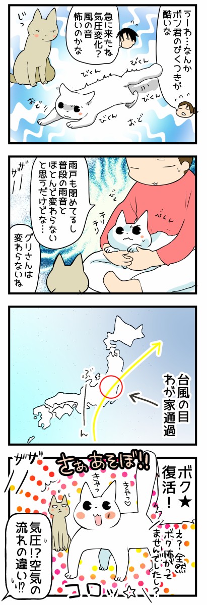 台風の時の猫の変化 くららんち B型夫婦と猫２匹の日常 Powered By ライブドアブログ