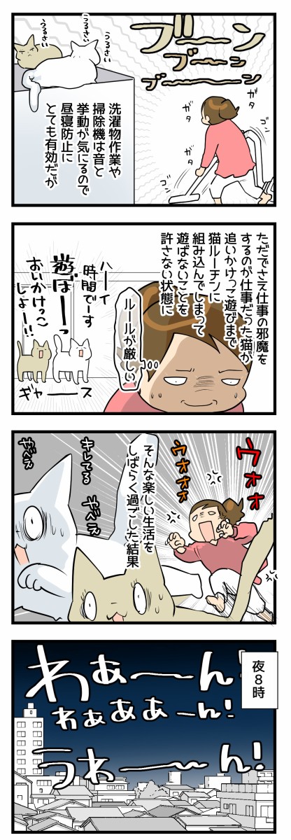 夜鳴き対策を考える３ くららんち B型夫婦と猫２匹の日常 Powered By ライブドアブログ