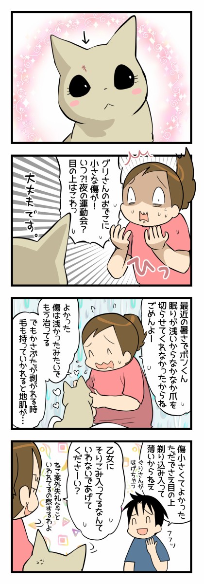 チョットドキッとしちゃう くららんち B型夫婦と猫２匹の日常 Powered By ライブドアブログ