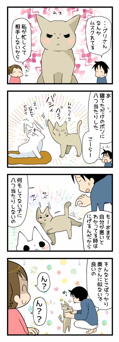 飼い主に似るっていうじゃない くららんち B型夫婦と猫２匹の日常 Powered By ライブドアブログ