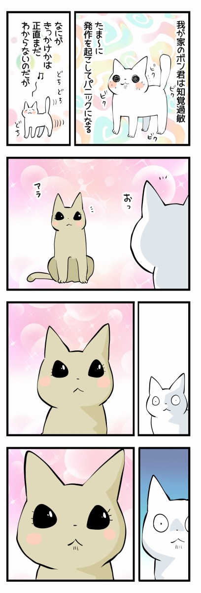 ビクンビクン くららんち B型夫婦と猫2匹の日常 Powered By ライブドアブログ ビクンビクン くららんち B型夫婦と猫2匹の日常 Powered By ライブドアブログ