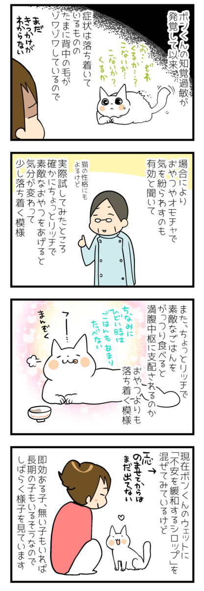 猫の知覚過敏のその後 : くららんち。～B型夫婦と猫２匹の日常 