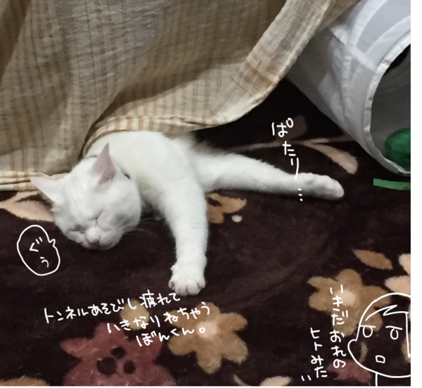 おたくの息子さんも : くららんち。～B型夫婦と猫２匹の日常～ Powered 