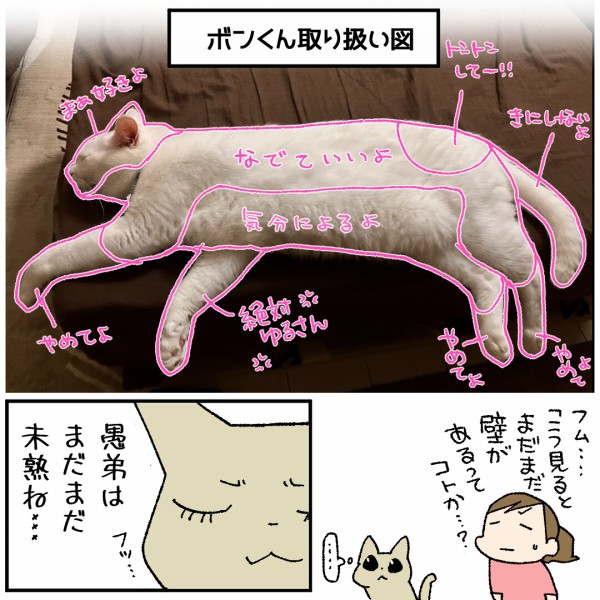 我が家の「猫お触りマップ」 : くららんち。～B型夫婦と猫２匹の日常