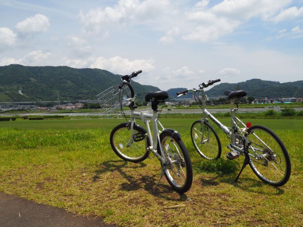 酒匂川サイクリングコースを走る なみえのページ