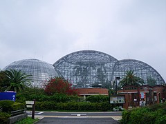 都立夢の島熱帯植物館を見学しました 植物園ルーキー