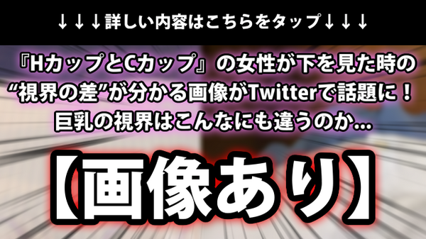 画像あり Hカップとcカップ の女性が下を見た時の 視界の差 が分かる画像がtwitterで話題に 巨乳の視界はこんなにも違うのか ネクスト速報