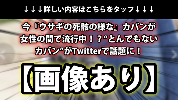 画像あり 今 ウサギの死骸の様な カバンが女性の間で流行中 とんでもないカバン がtwitterで話題に ネクスト速報