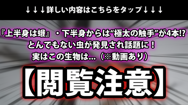 閲覧注意 上半身は蛾 下半身からは 極太の触手 が4本 とんでもない虫が発見され話題に 実はこの生物は 動画あり ネクスト速報