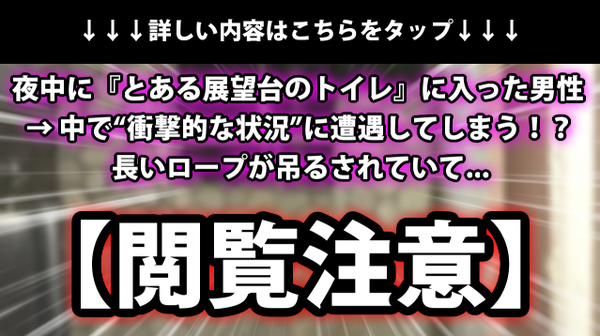 閲覧注意 夜中に とある展望台のトイレ に入った男性 中で 衝撃的な状況 に遭遇してしまう 長いロープが吊るされていて ネクスト速報
