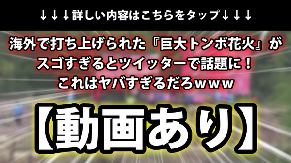 動画あり 海外で打ち上げられた 巨大トンボ花火 がスゴすぎるとtwitterで話題に これはヤバすぎるだろｗｗｗ ネクスト速報