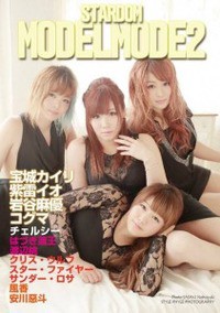 スターダム写真集 