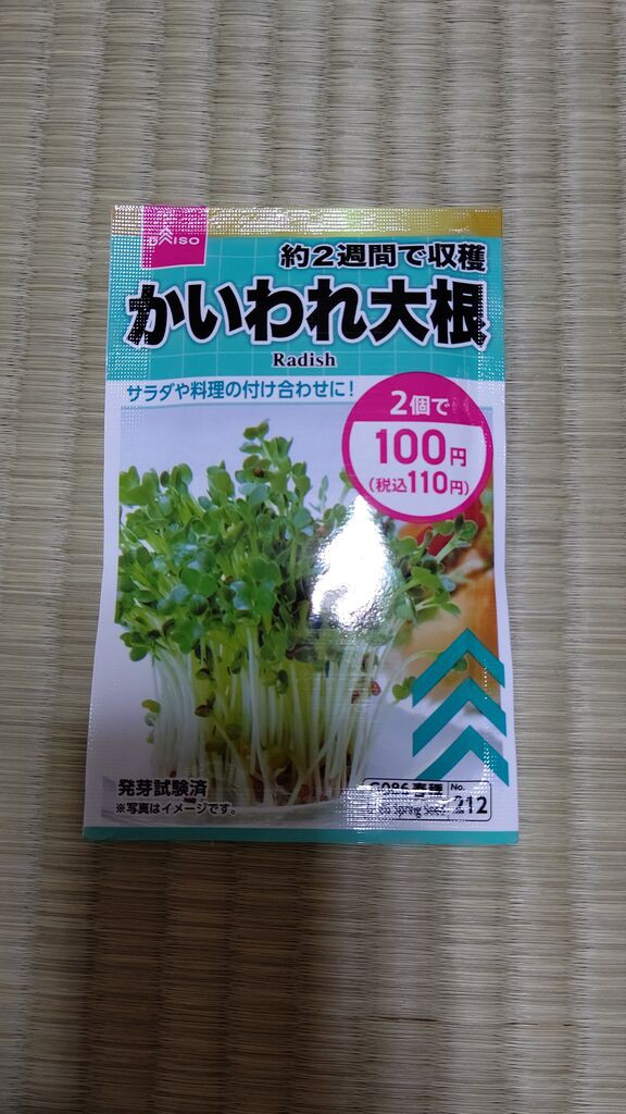 水耕栽培でカイワレ大根を育てる手順 お手軽で新鮮シャキシャキを味わえます Bigいぬねこの水耕栽培記録