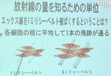 シーベルトって 原発事故 震災対策関連情報 臨時 放射線の被曝は控えめに