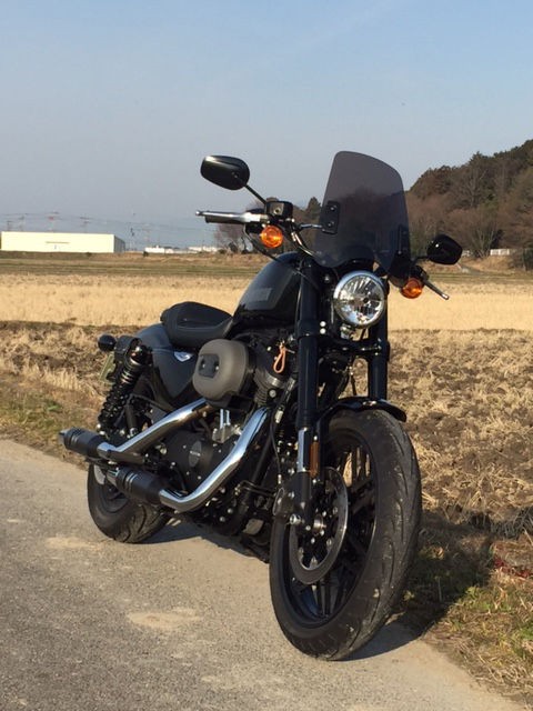 ウィンド スクリーン シールド ハーレー スポーツスター XL1200X 883-