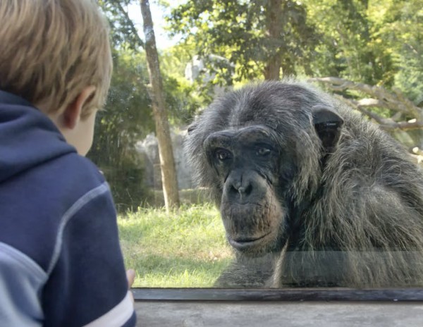 動物園 水族館にも アニマルウェルフェア の尺度を Big Issue Online