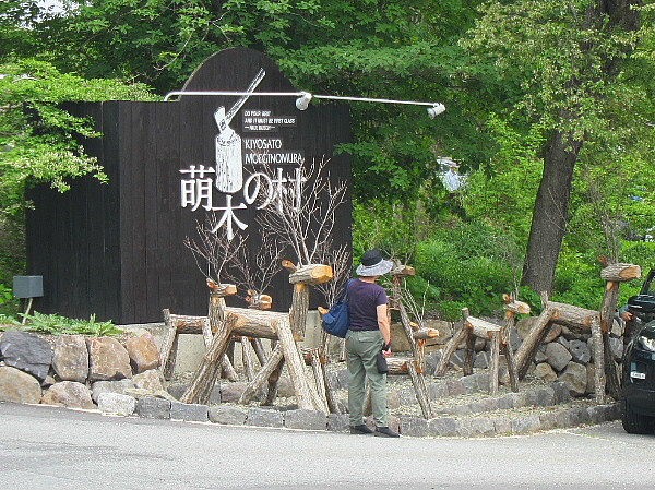 ターシャと八ヶ岳の草花たち うたた寝の合間に ターシャと八ヶ岳の草花たち うたた寝の合間に