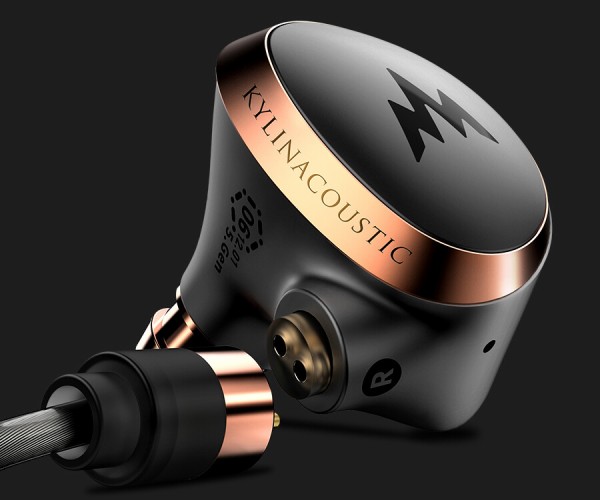 美品 WHIZZER HE10 有線イヤホン おまけ付き Whizzer Kylin HE10