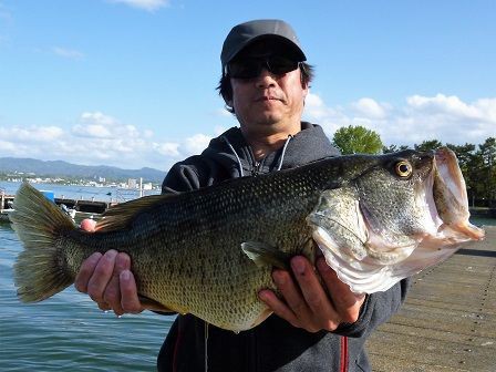 フリックシェイク6 8でロクマルヒット ４月18日のロクマル釣果 小林貸船釣具店の釣果情報