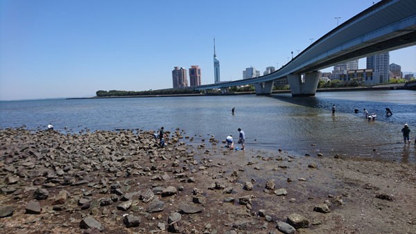 マリナタウン海浜公園から室見川河口へ無料の潮干狩り K家の気まぐれブログ