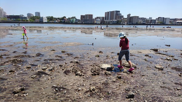 マリナタウン海浜公園から室見川河口へ無料の潮干狩り K家の気まぐれブログ