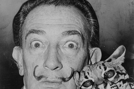 日本語訳 聖職者の特権 サルバドール ダリに関するいくらかの覚え書き Benefit Of Clergy Some Notes On Salvador Dali 実験記録 No 02