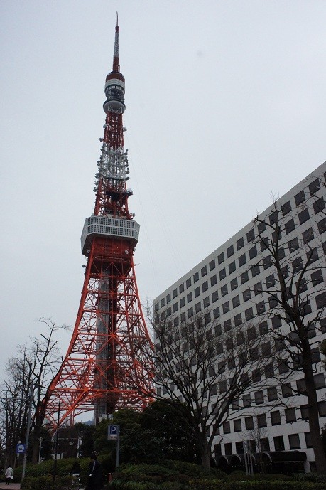 東京タワー カレー 東京カレーラボ の研究カレーやねん できる限り遊ぶ D