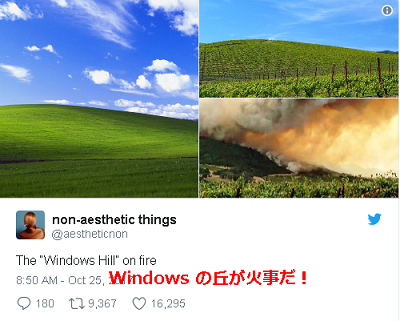 Windows Xp 壁紙 草原 19
