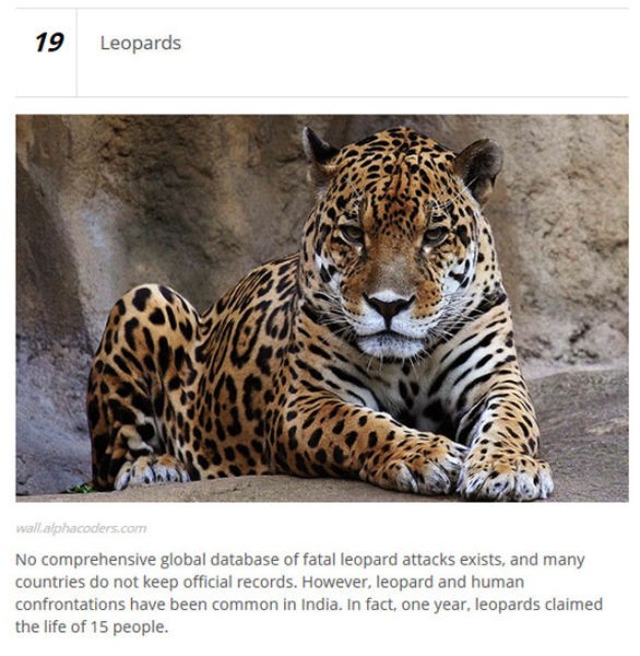 あの動物が 知ってた 世界で最も な動物ランキング Top25 めそぽた 世界おもしろニュース