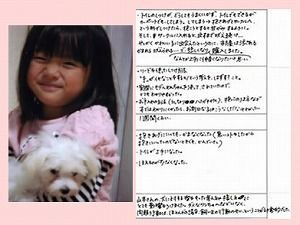 山本卓さんの犬の噛み癖を直す方法 噛む犬専門のしつけ法山本卓 口コミ評判