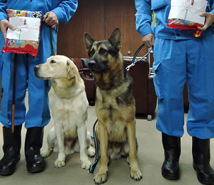 警察犬 不明女性を発見 葉山署2頭を表彰 葉山の治安は 坊ちゃん葉山アーカイブス