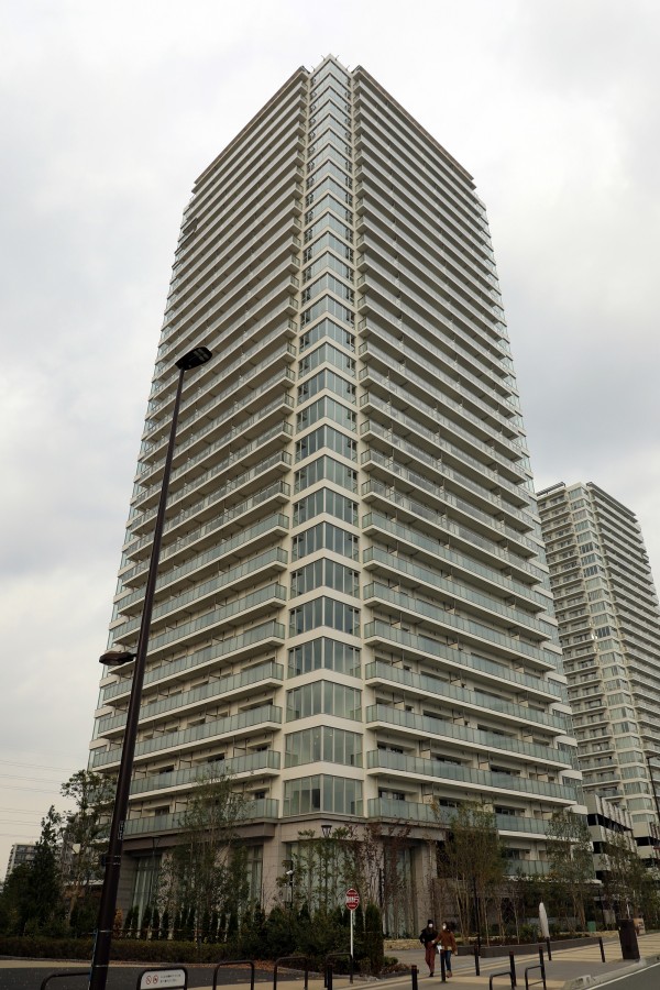 リーフィア長場 2025年最新】リーフィア プロモ 長場の人気アイテム - メルカリ