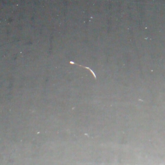 グロ注意 老化現象 めざせ 脱 買い物依存症