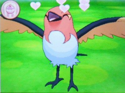 ポケモンｘｙ ポケパルレとかいう神ゲーｗｗｗｗ 画像集1 ぼっ遅報
