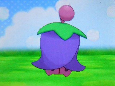 ポケモンｘｙ ポケパルレとかいう神ゲーｗｗｗｗ 画像集1 ぼっ遅報