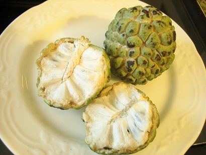 森のアイスクリーム けろけろムンバイー